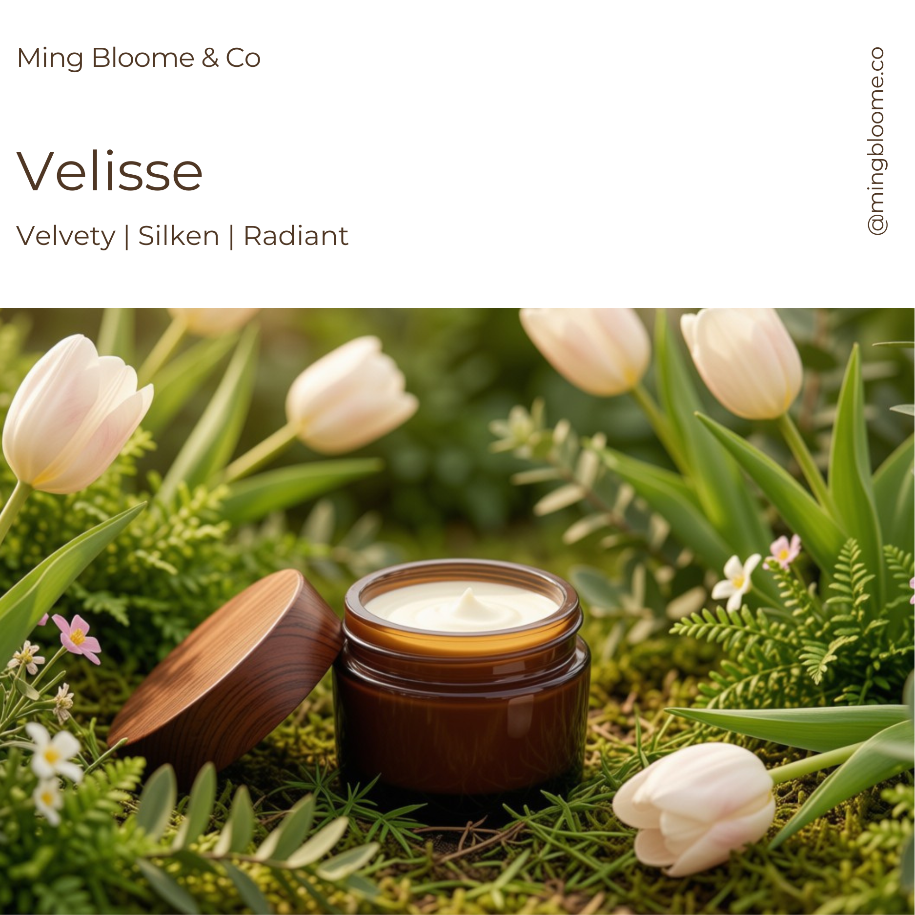 Velisse Velvety Body Butter